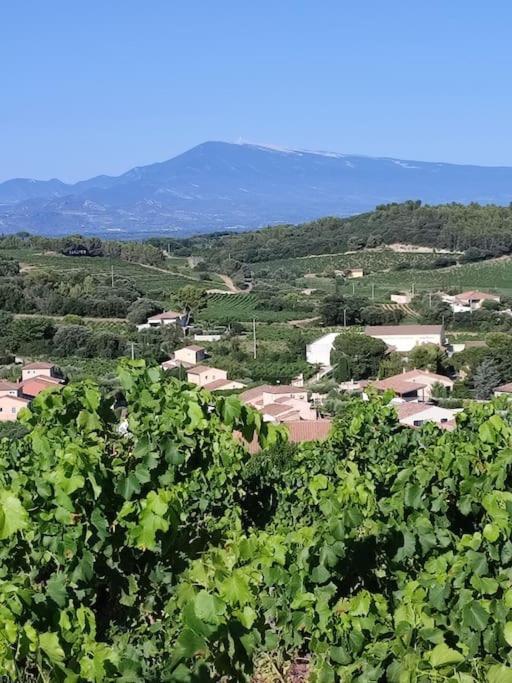 Maison De Village Châteauneuf-du-Pape Eksteriør bilde